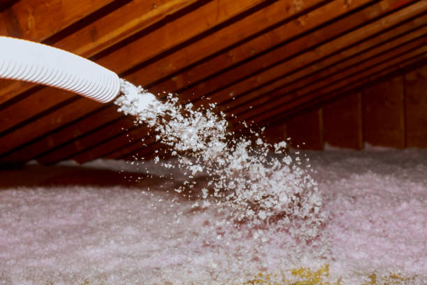 Best Insulation Inspection Services  in Flushing, MI