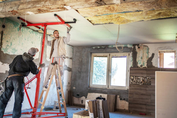Best Insulation Contractor Near Me  in Flushing, MI