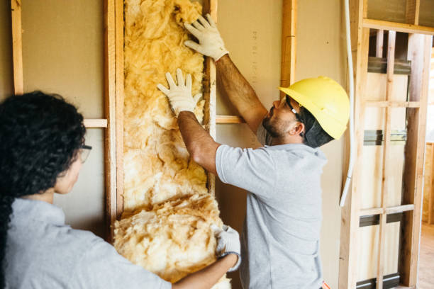 Best Attic Insulation Installation  in Flushing, MI