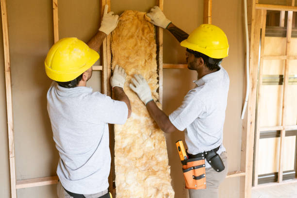 Best Wall Insulation Contractor  in Flushing, MI