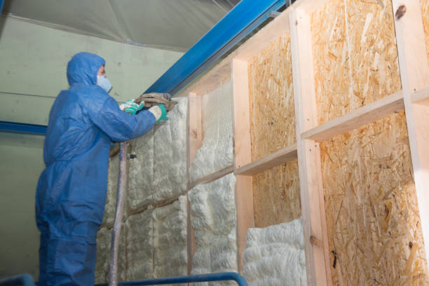 Best Professional Insulation Contractor  in Flushing, MI