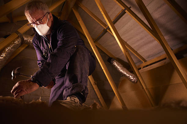 Best Cellulose Insulation  in Flushing, MI